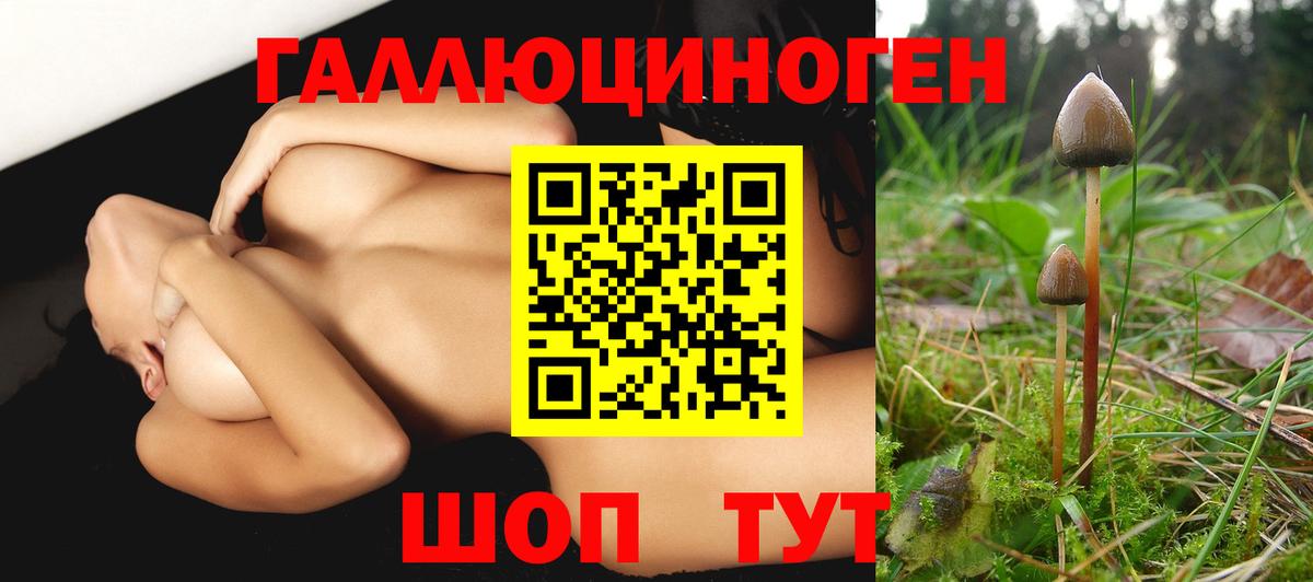 Псилоцибиновые грибы мухоморы  Галлюциногенные грибы Magic Shrooms  Вход с VPN  Рассказово 